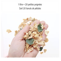 Ambre - Pétales de roses beige Eucalyptus