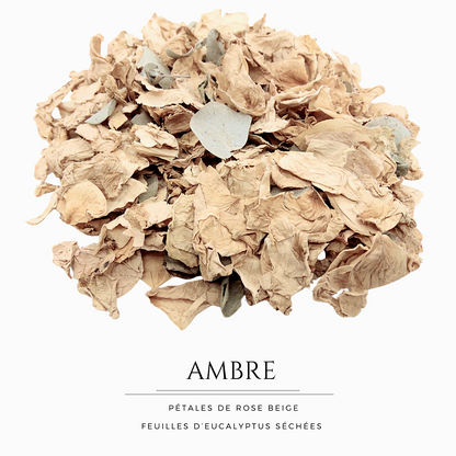 Ambre - Pétales de roses beige Eucalyptus