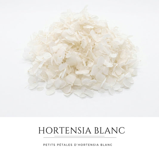 Petit pétales d'hortensia blanc - Confettis de Mariage