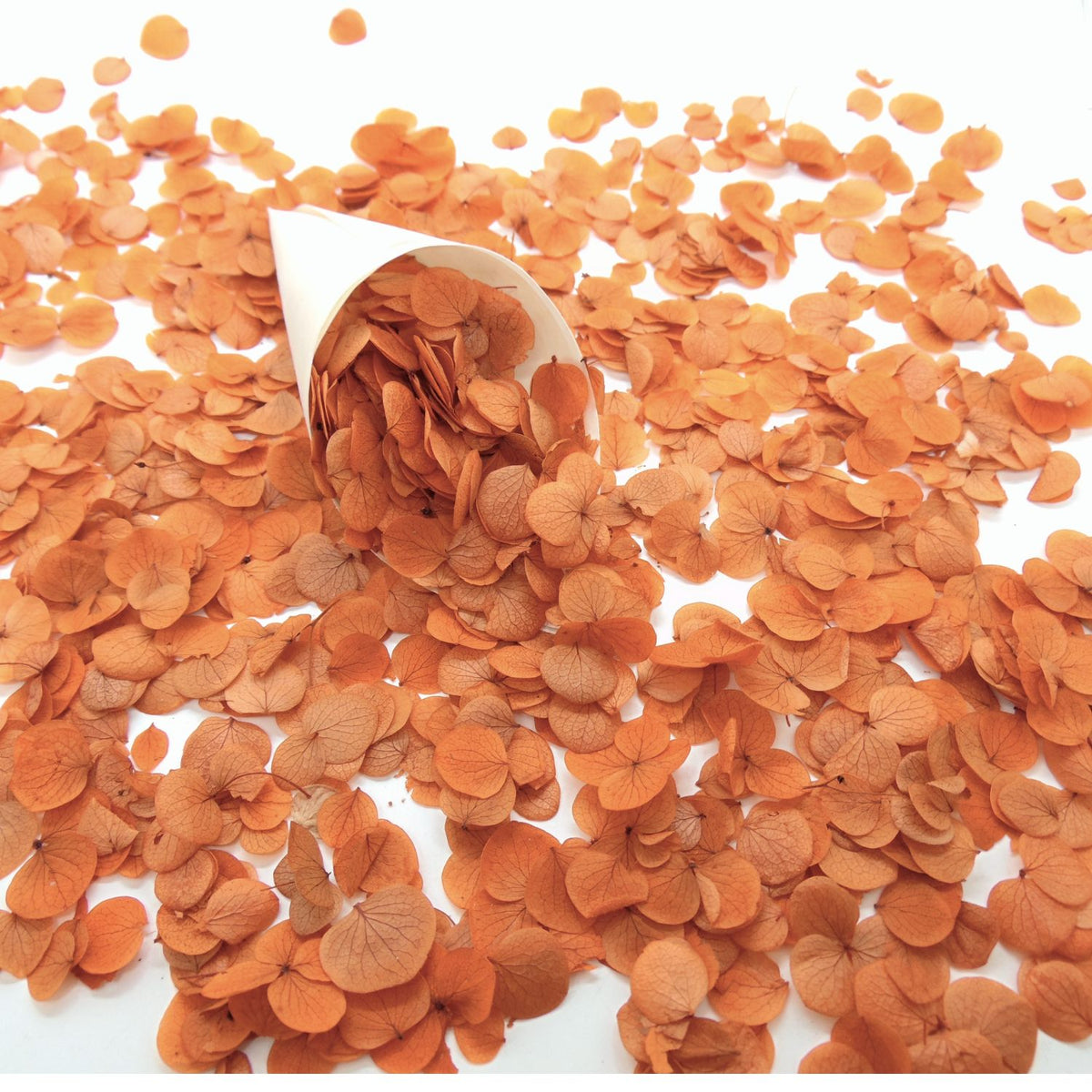 Petits Pétales d'hortensia terracotta - Confettis de Fleurs mariage