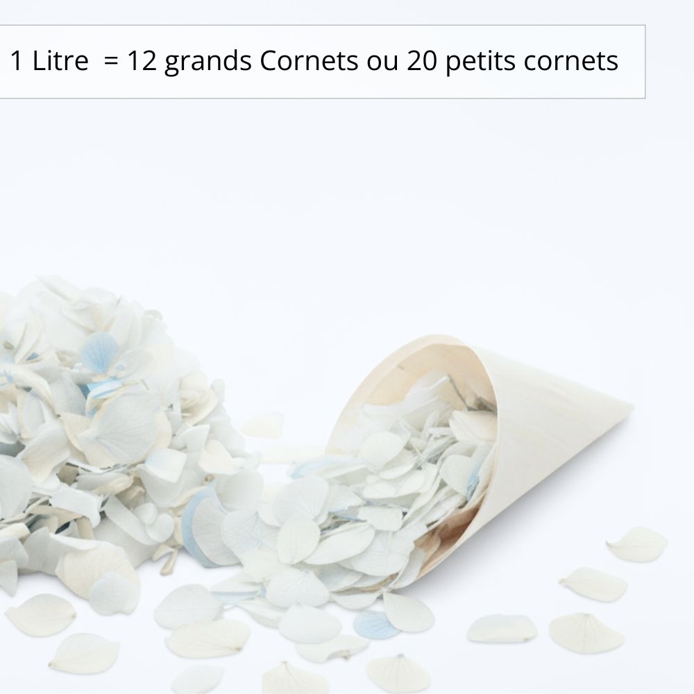 Azur - Confettis fleurs séchées Mariage
