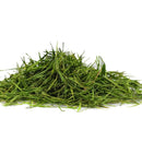 feuilles de bambou vert