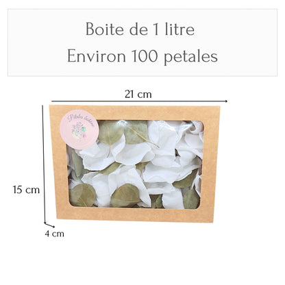 Pétales de Roses blanches Feuille d'Eucalyptus séché