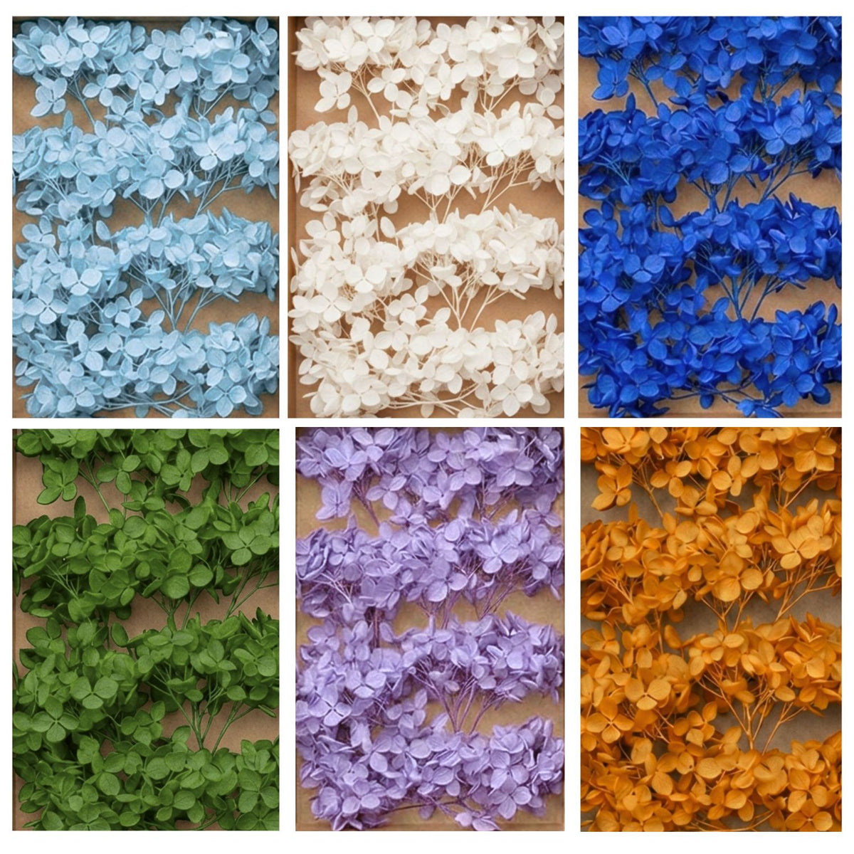 Brins d'Hortensia Stabilisé Blanc – Décoration Mariage