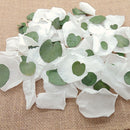 Eternelle - Pétales de Roses blanches feuille d'Eucalyptus