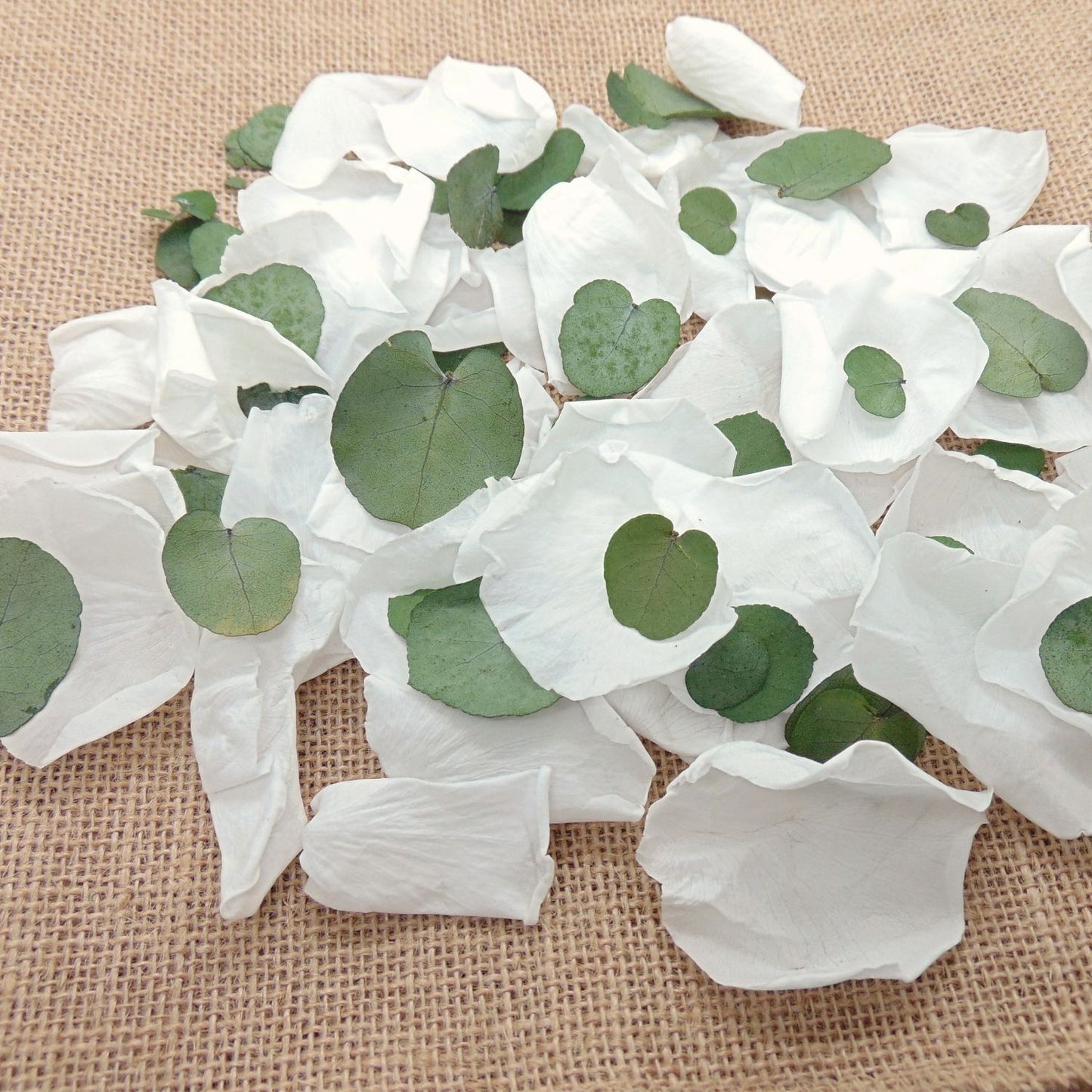 Eternelle - Pétales de Roses blanches feuille d'Eucalyptus