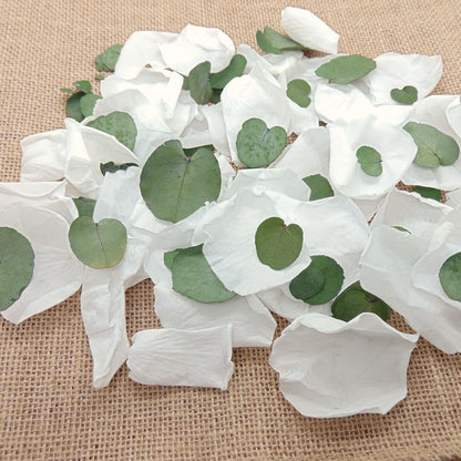 Eternelle - Pétales de Roses blanches feuille d'Eucalyptus