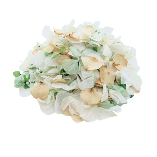 Glam - Pétales d'hortensia - Confettis de Fleurs mariage | Vert - Blanc - Beige