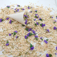 Violette - Confettis de Fleurs séchées | Ivoire & Violet | Jasmin & Petites Fleurs