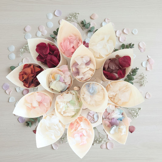 Pétales d'hortensia avec Cornet - Confettis de Mariage