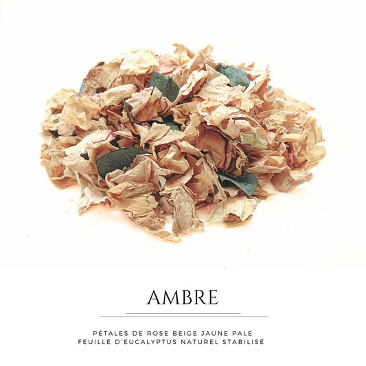 Ambre - Pétales de roses beige Eucalyptus