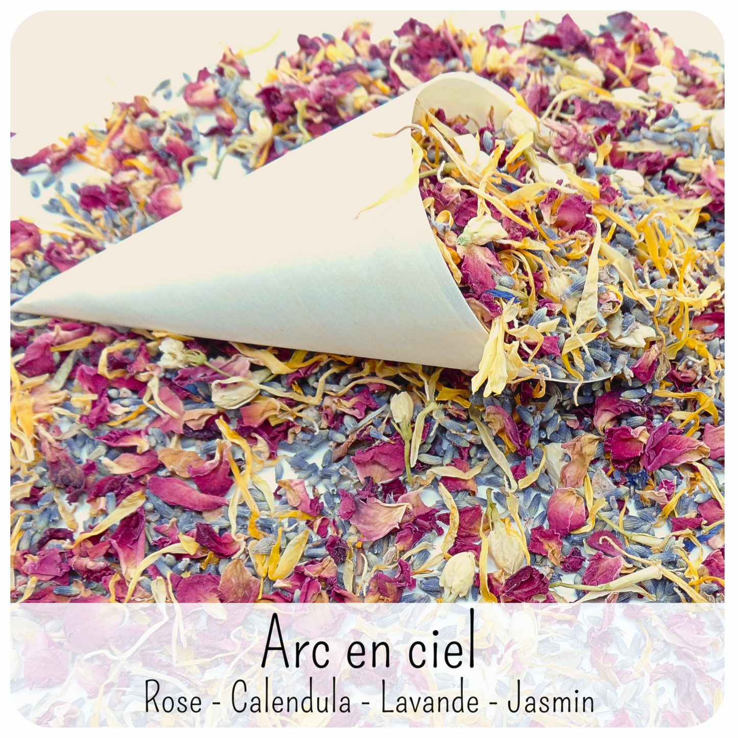 Arc En ciel - Confettis Fleurs Séchées Mariage