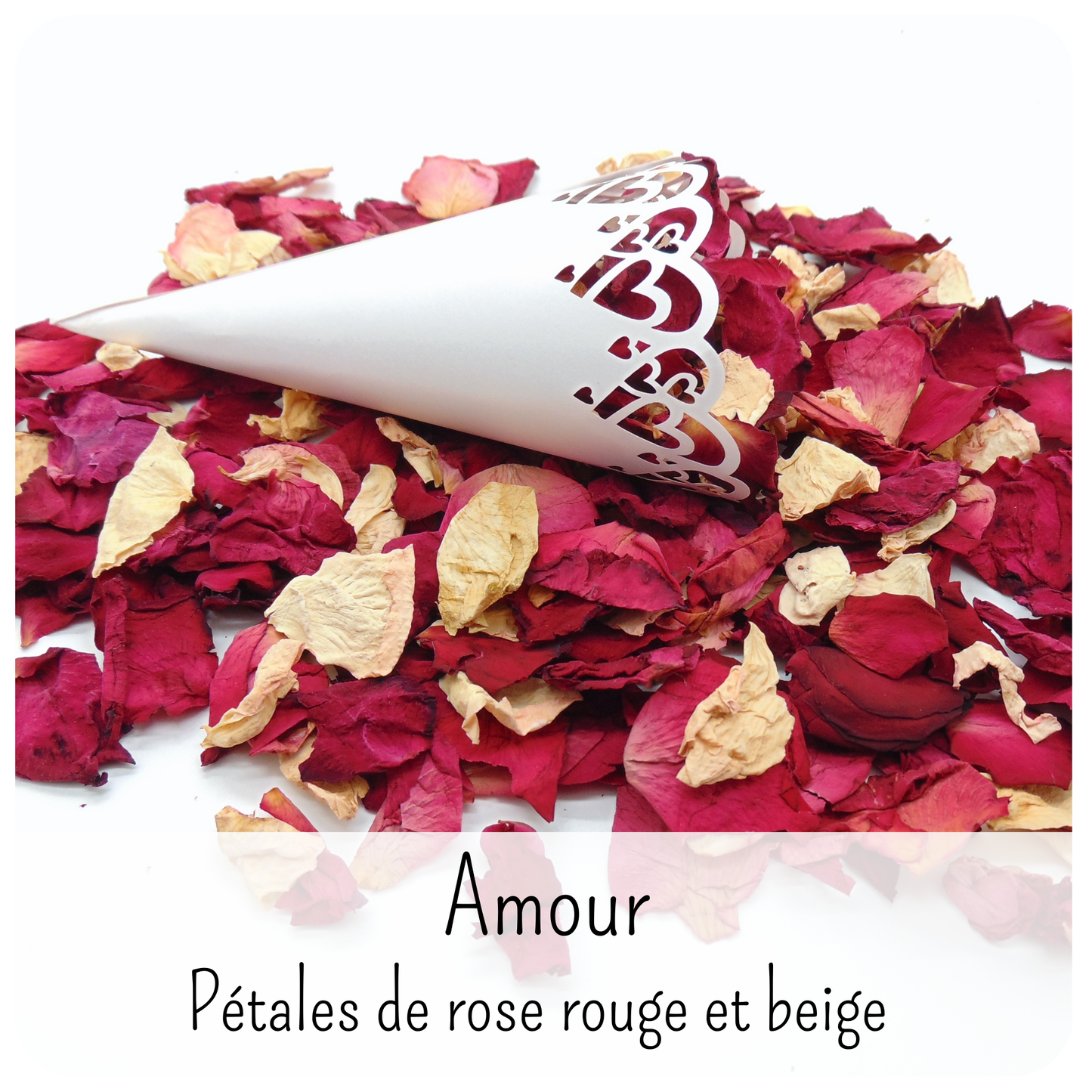 Amour - Pétales de roses rouge et beige