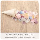 Pétales d'hortensia avec Cornet - Confettis de Mariage