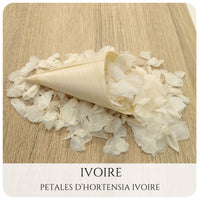 Pétales d'hortensia avec Cornet - Confettis de Mariage