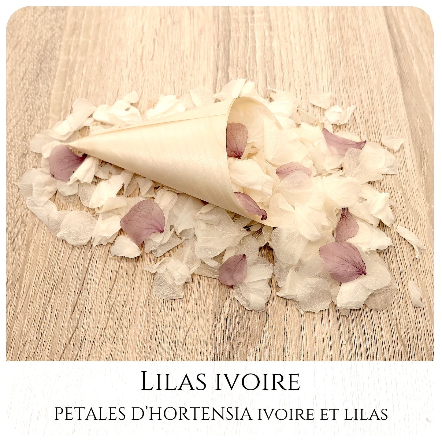 Pétales d'hortensia avec Cornet - Confettis de Mariage