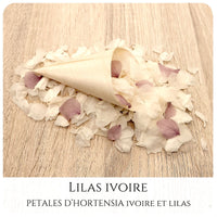 Pétales d'hortensia avec Cornet - Confettis de Mariage