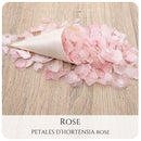 Pétales d'hortensia avec Cornet - Confettis de Mariage