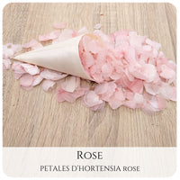 Pétales d'hortensia avec Cornet - Confettis de Mariage