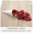 Pétales d'hortensia avec Cornet - Confettis de Mariage