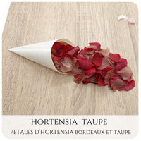 Pétales d'hortensia avec Cornet - Confettis de Mariage