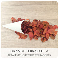 Pétales d'hortensia avec Cornet - Confettis de Mariage