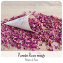 Petits Cornets Confettis Mariage avec Fleurs séchées
