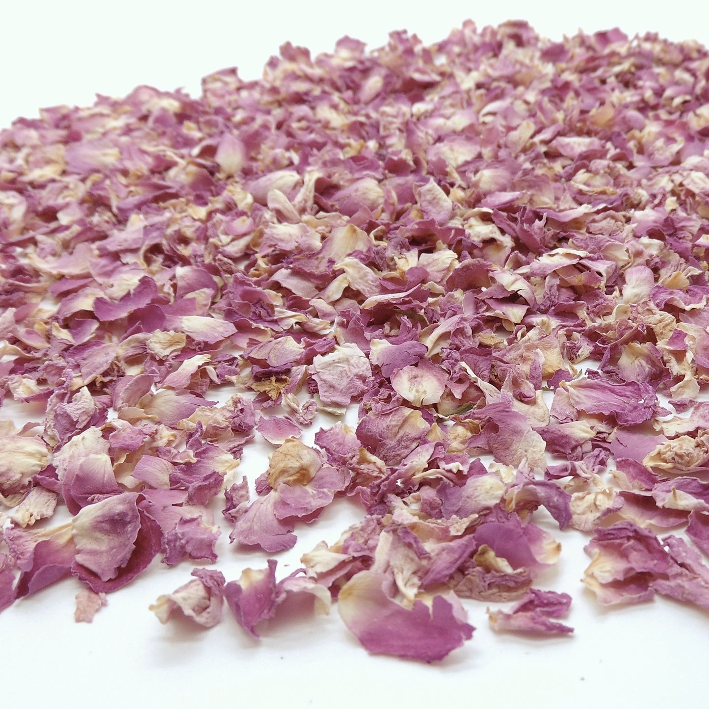 Pureté Rose Damas - Pétales de roses roses