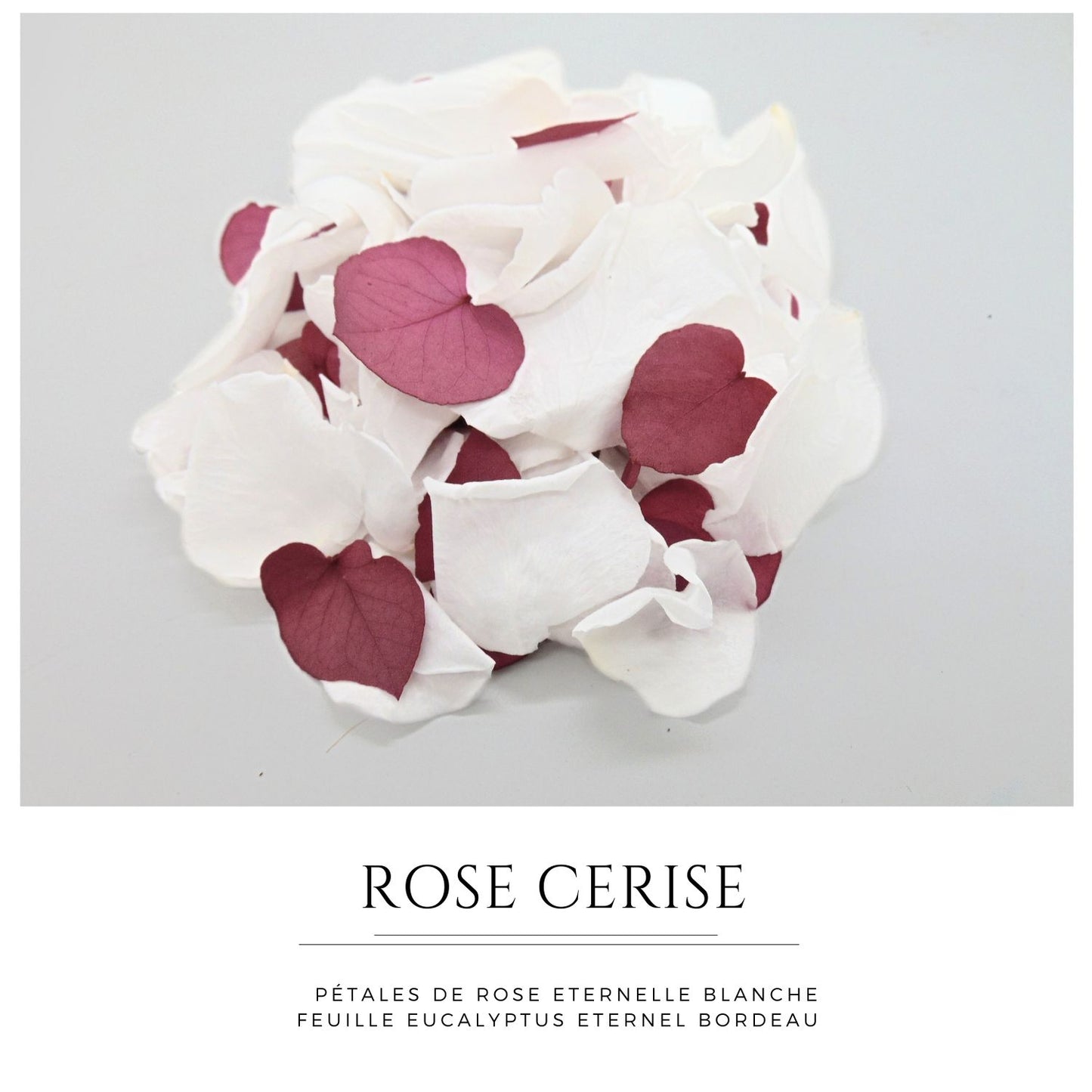 Pétales de Roses blanches éternelle feuille d'Eucalyptus bordeaux