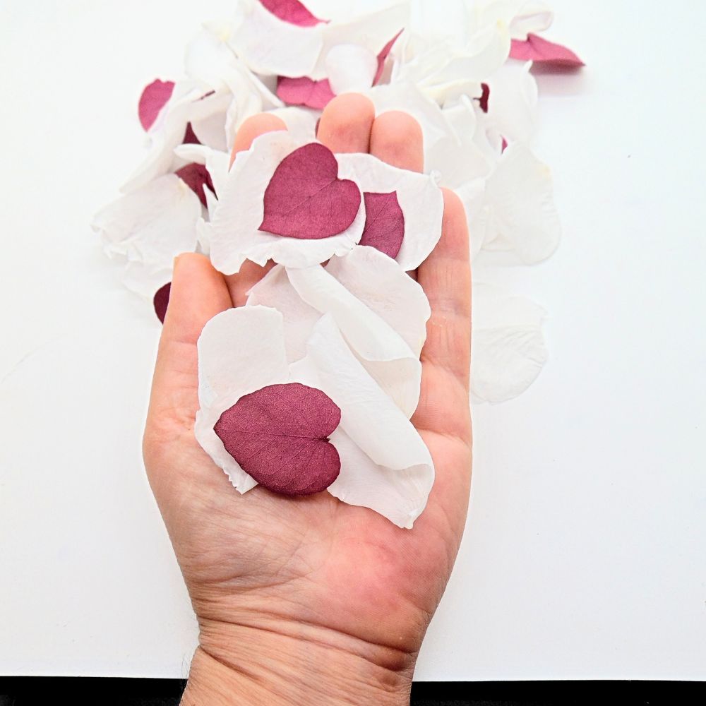 Pétales de Roses blanches éternelle feuille d'Eucalyptus bordeaux