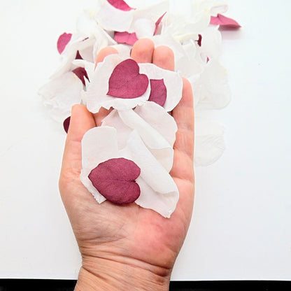 Pétales de Roses blanches éternelle feuille d'Eucalyptus bordeaux