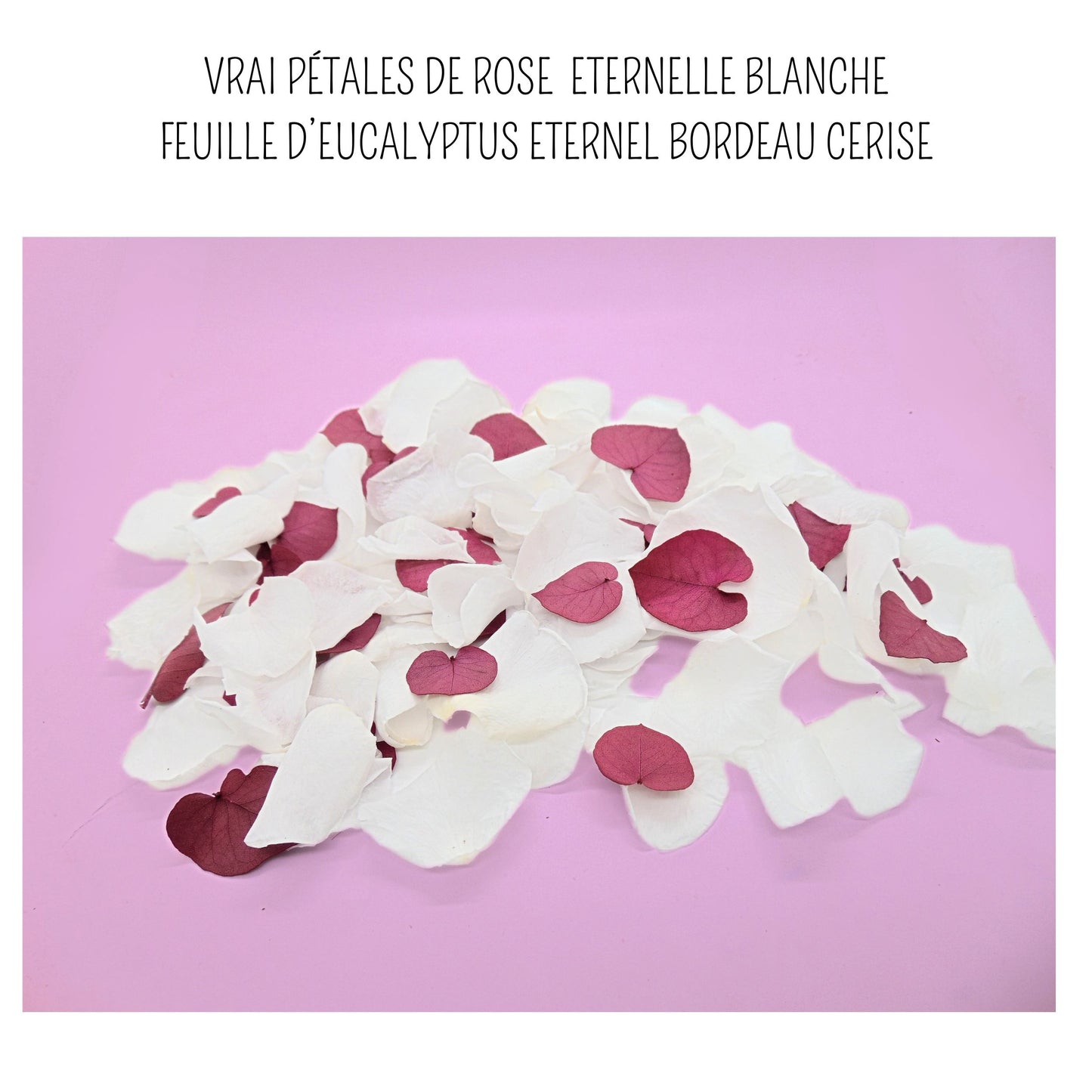 Pétales de Roses blanches éternelle feuille d'Eucalyptus bordeaux