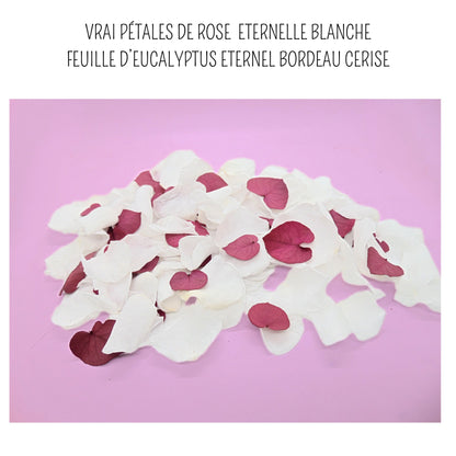 Pétales de Roses blanches éternelle feuille d'Eucalyptus bordeaux