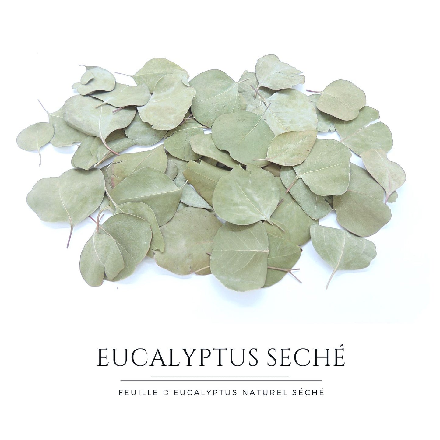 Eucalyptus Feuilles séches - Décoration de Mariage