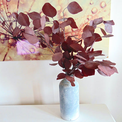 Bouquet Eucalyptus Populus Rouge préservé