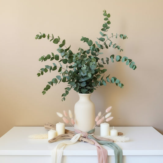 Bouquet Eucalyptus stabilisé Stuartiana Vert