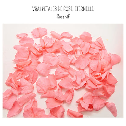 Flamingo - Pétales de rose rose stabilisée
