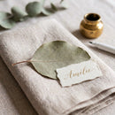 Eucalyptus Feuilles séches - Décoration de Mariage