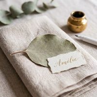 Eucalyptus Feuilles séches - Décoration de Mariage