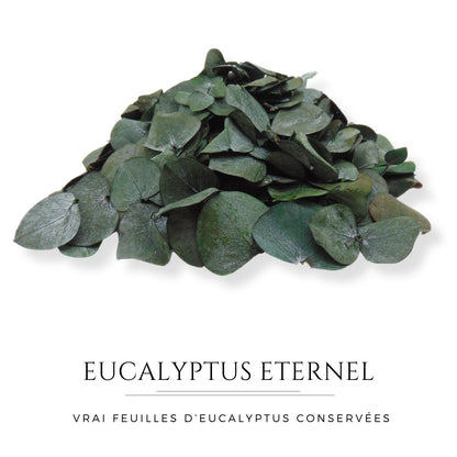 Eucalyptus Eternel - Décoration de Table Mariage