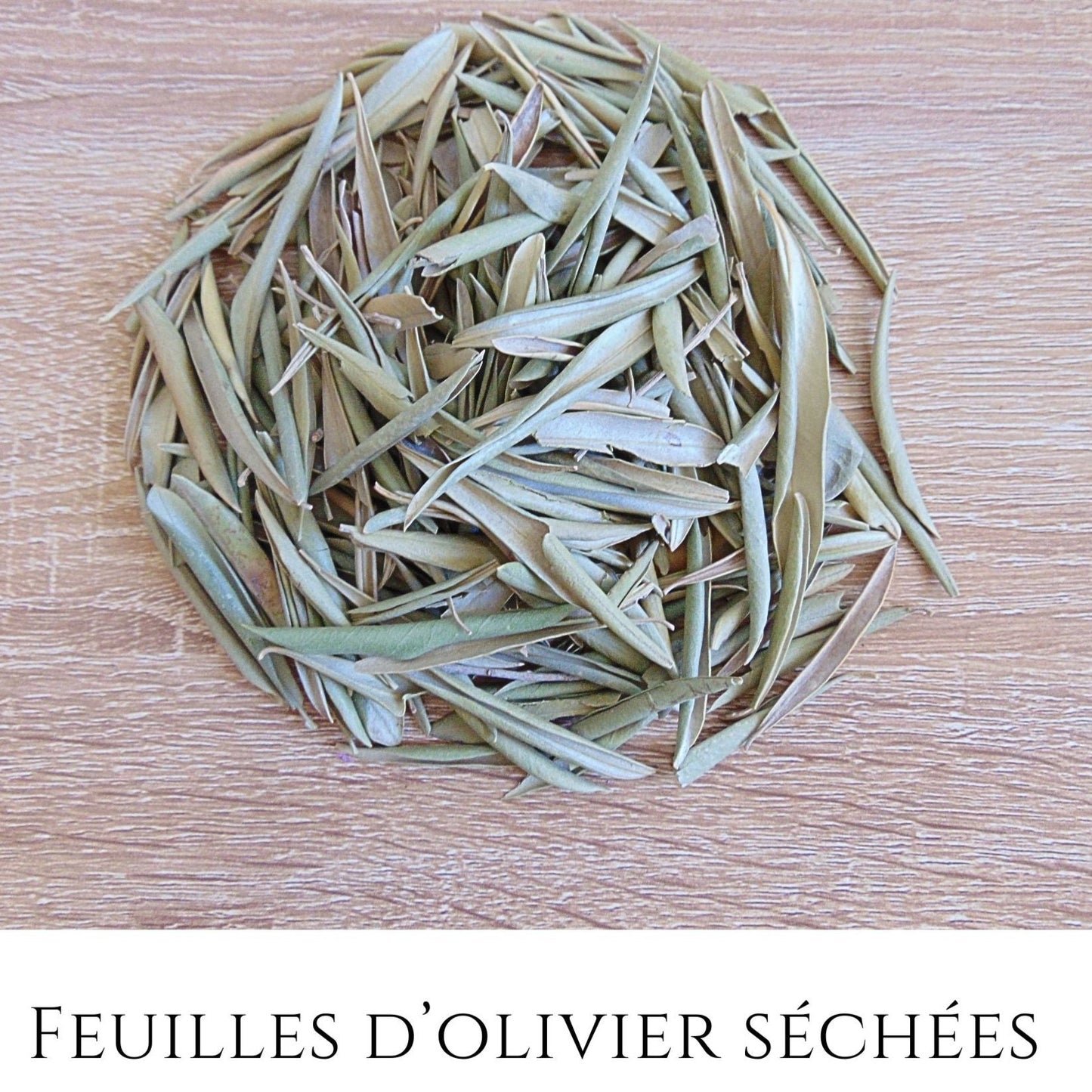 Feuille d'olivier séché