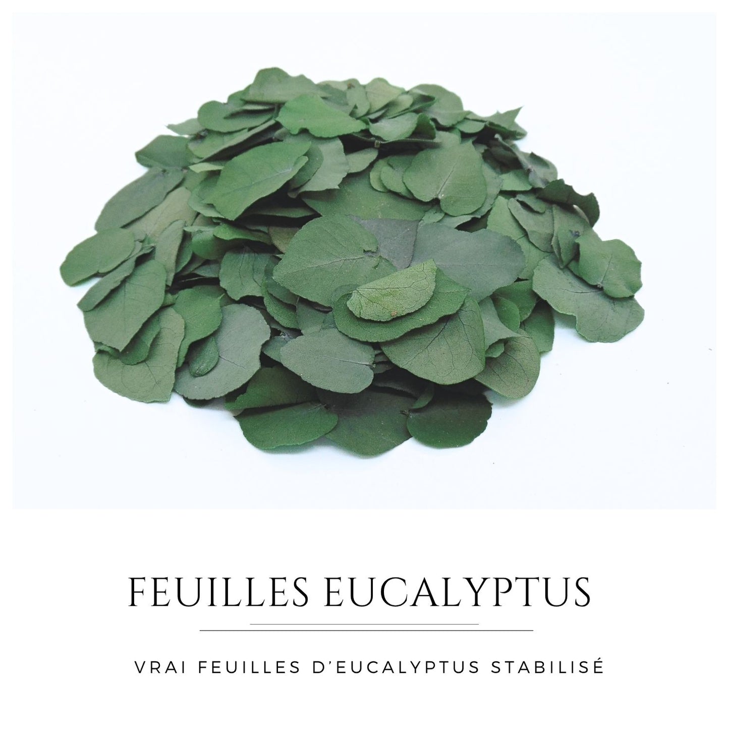Feuille d'Eucalyptus - Décoration de Table Mariage