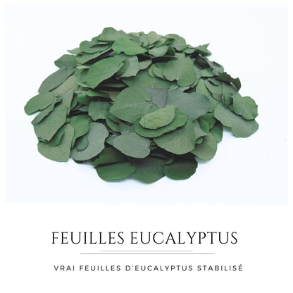 Feuille d'Eucalyptus - Décoration de Table Mariage