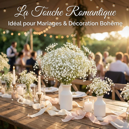 Gypsophile Blanc séchée et préservée Mariage