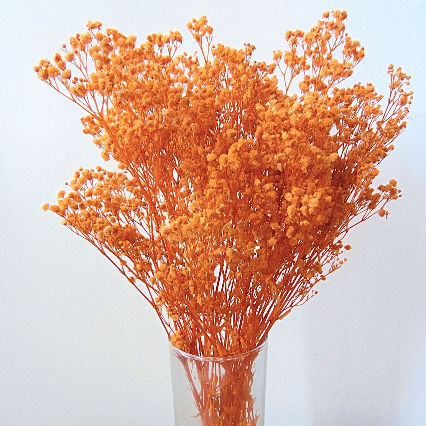 Gypsophile Orange séchée naturel Mariage