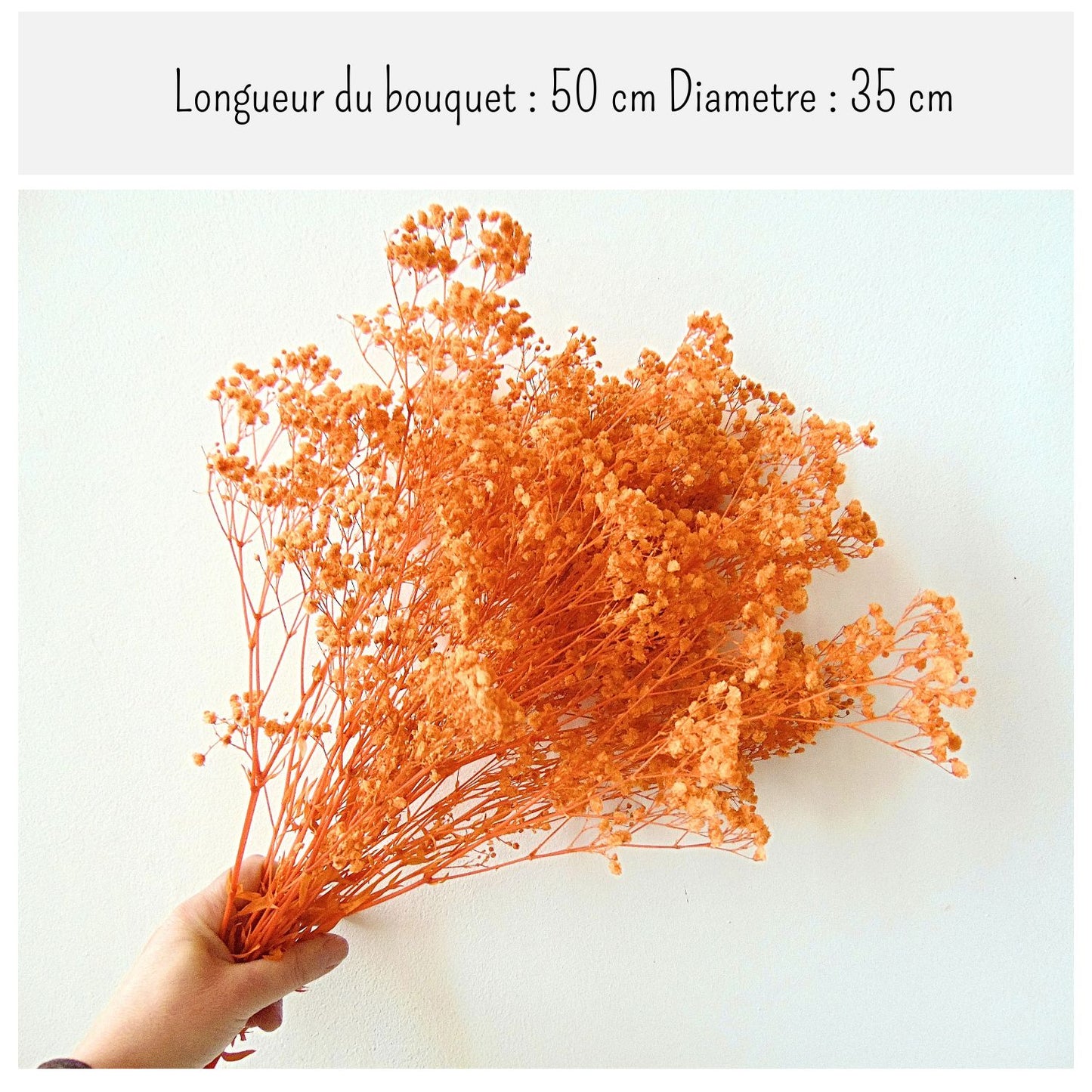 Gypsophile Orange séchée naturel Mariage