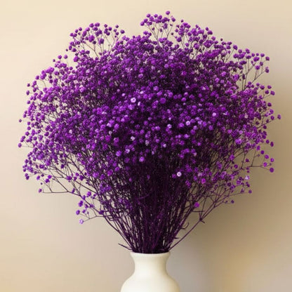 Gypsophile Violet stabilisé naturel Mariage