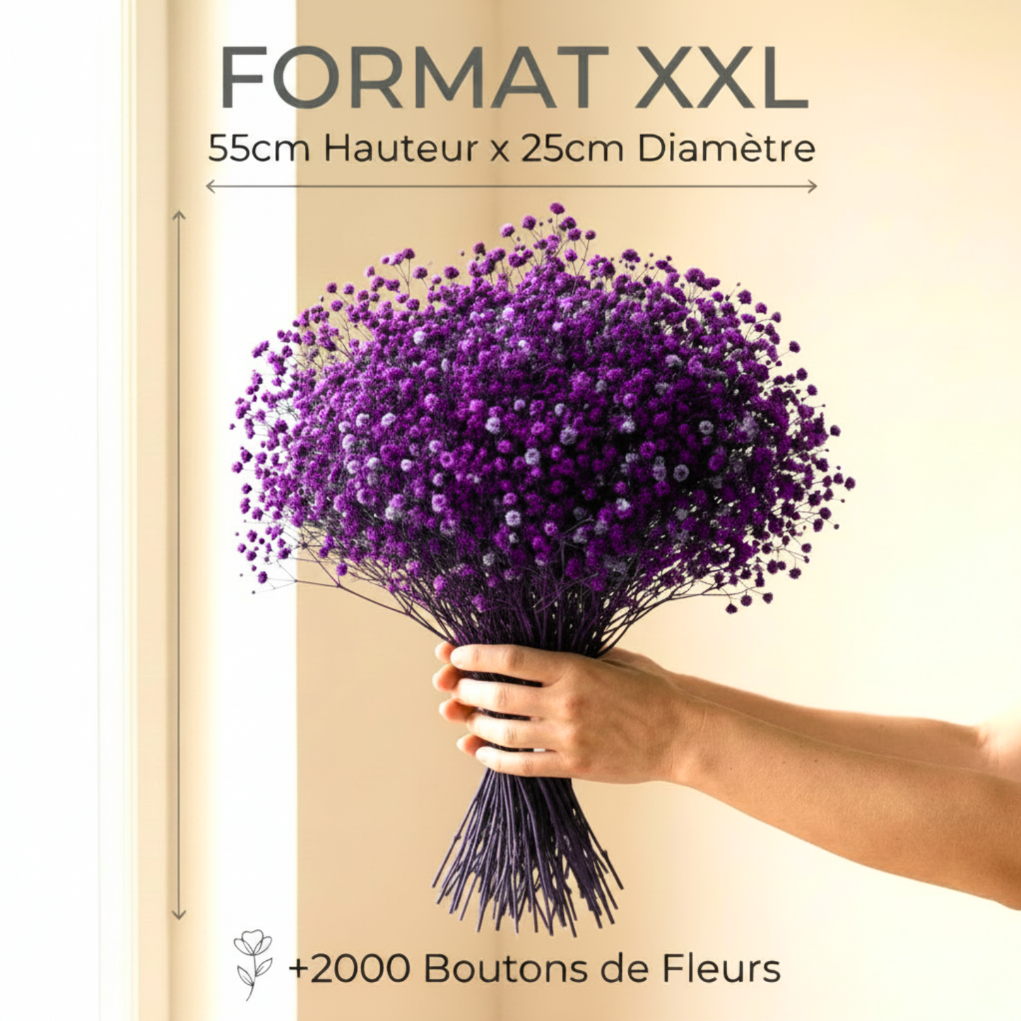 Gypsophile Violet stabilisé naturel Mariage