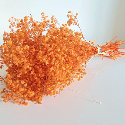 Gypsophile Orange séchée naturel Mariage