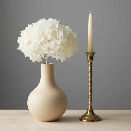 Hortensia Anna Stabilisé Blanc - Fleurs éternelle